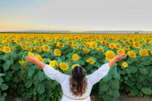 A lady in a sunflower garden