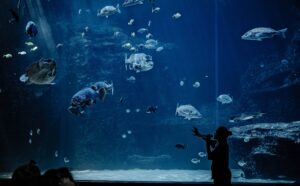 A lady speaking on a microphone at an aquarium