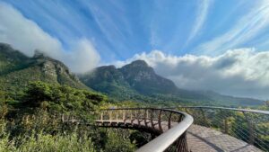 Kirstenbosch National Botanical Gardens